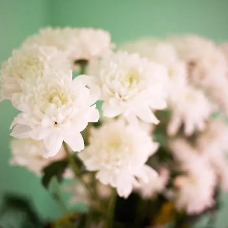 Victorino * سييدا